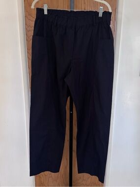 XiRENA Navy Elastic-Waist navy blue pants women Large